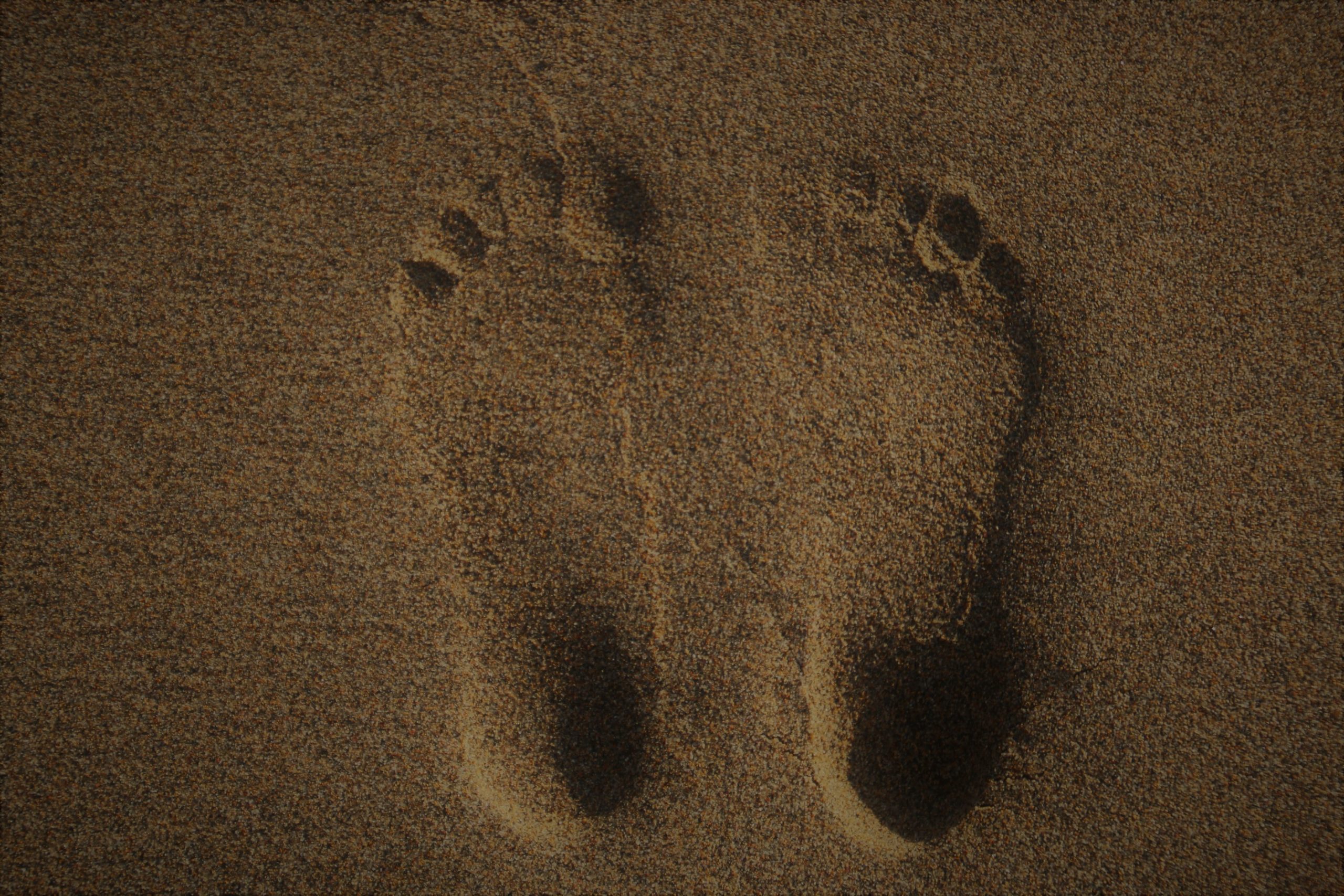 Two foot imprints in the sand